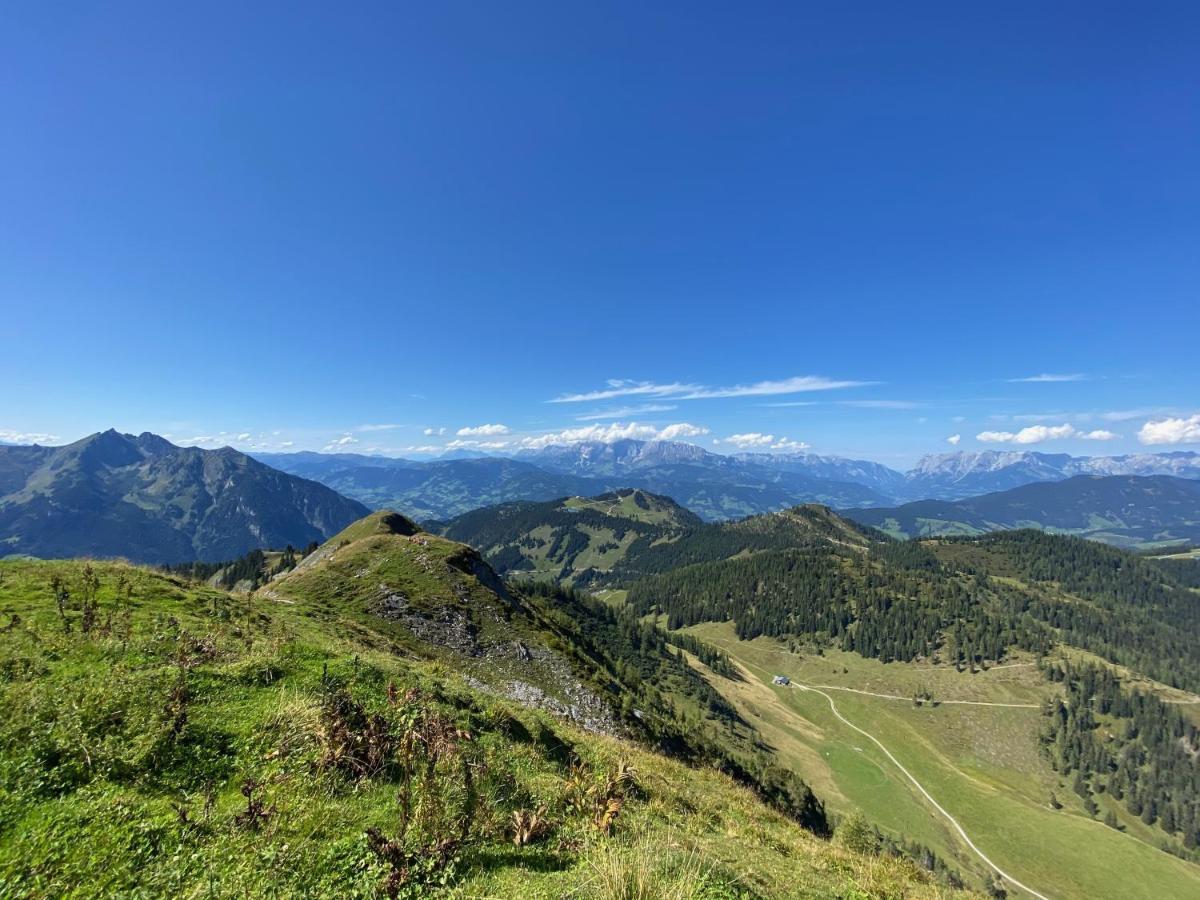 Oberleiten Apartments Ваграйн Екстер'єр фото